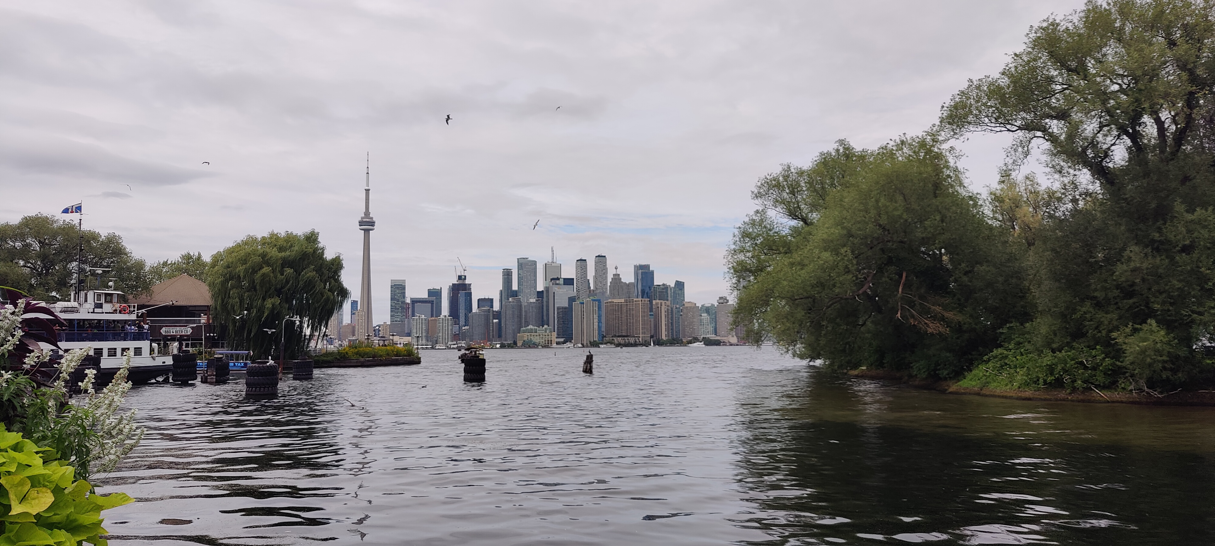 A picture of the Toronto skyline from the harbor islands.